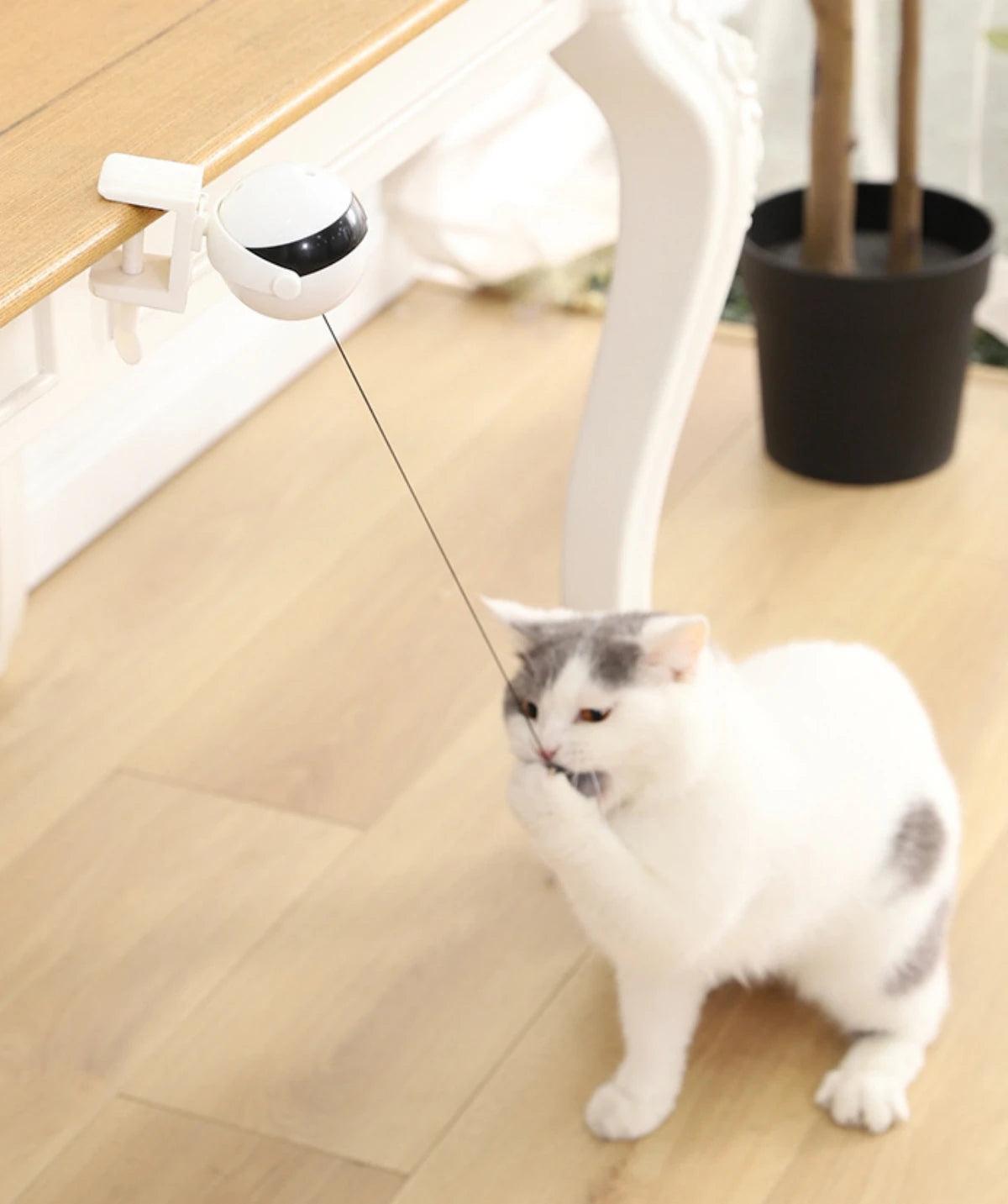 Electric Motion Cat Toy – Endless Fun for Your Feline!