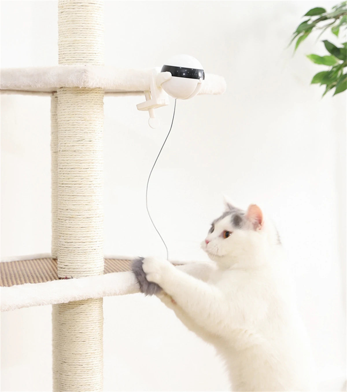 Electric Motion Cat Toy – Endless Fun for Your Feline!