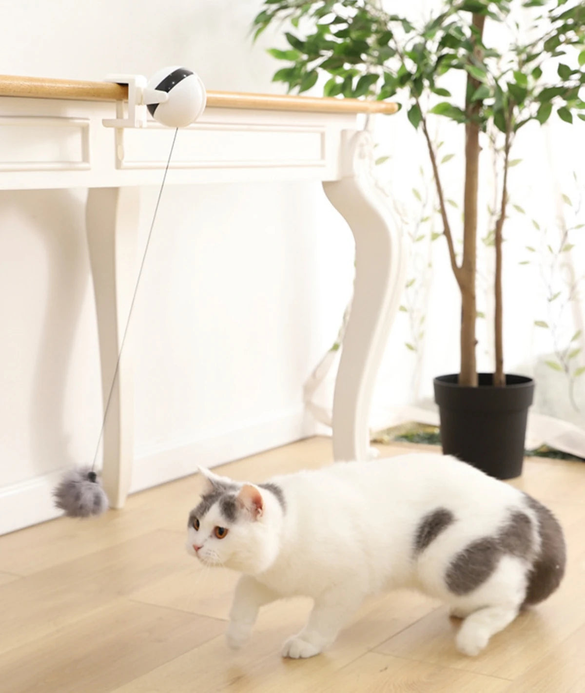 Electric Motion Cat Toy – Endless Fun for Your Feline!