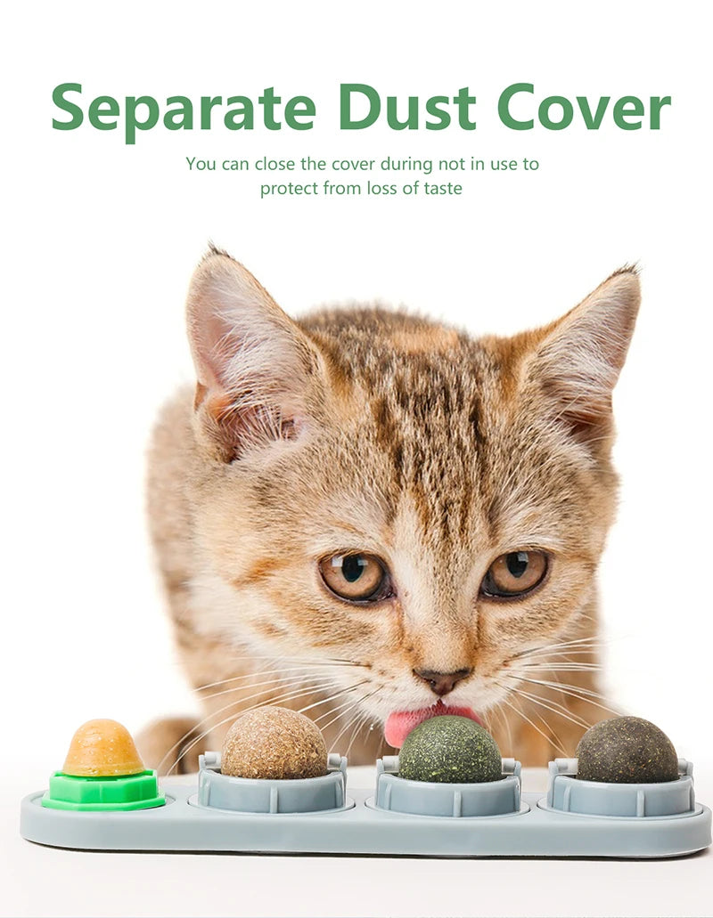 Catnip & Silvervine Dental Balls – Healthy Teeth Cleaning + Playtime in One!