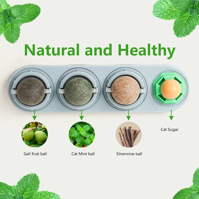 Catnip & Silvervine Dental Balls – Healthy Teeth Cleaning + Playtime in One!