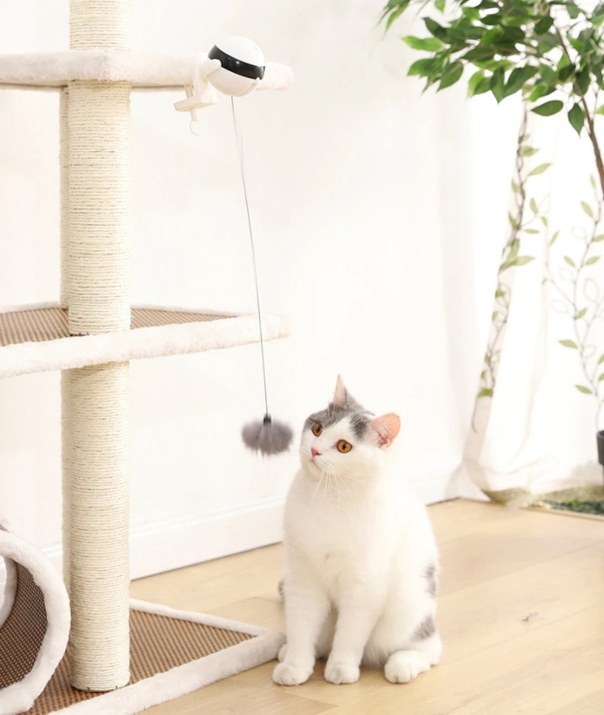 Electric Motion Cat Toy – Endless Fun for Your Feline!