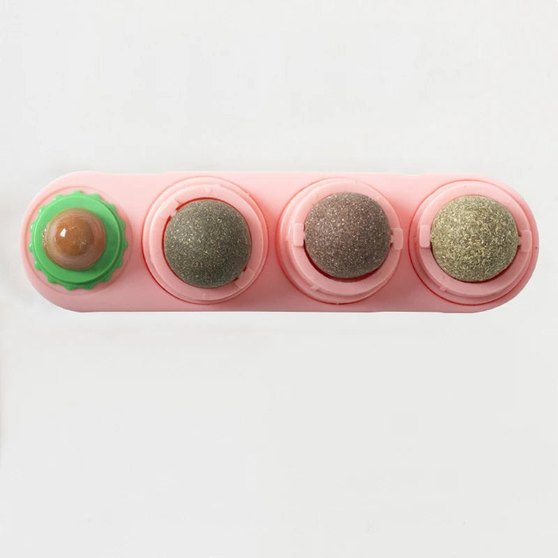 Catnip & Silvervine Dental Balls – Healthy Teeth Cleaning + Playtime in One!