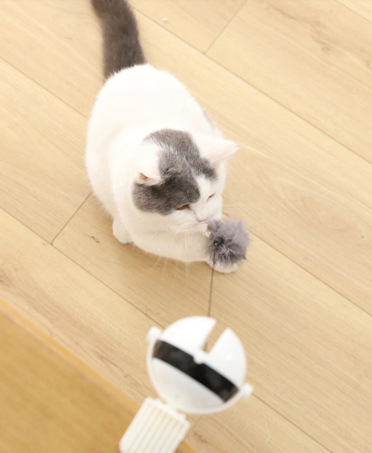 Electric Motion Cat Toy – Endless Fun for Your Feline!