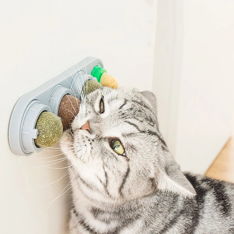 Catnip & Silvervine Dental Balls – Healthy Teeth Cleaning + Playtime in One!