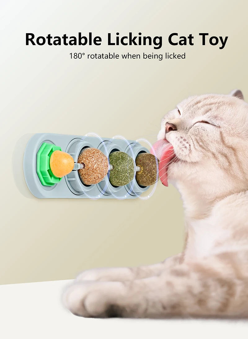 Catnip & Silvervine Dental Balls – Healthy Teeth Cleaning + Playtime in One!